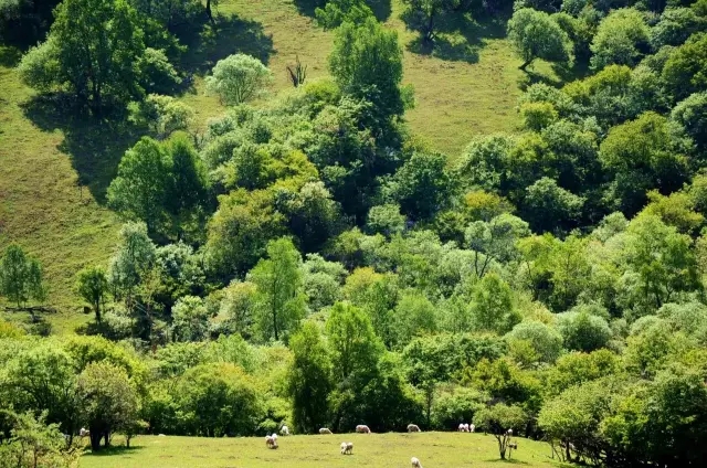 ����˹��ר����(�й�����)�ٷ���վ