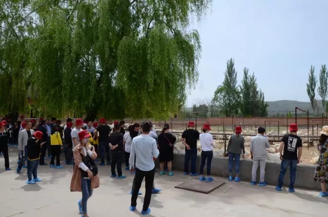 ����˹��ר����(�й�����)�ٷ���վ