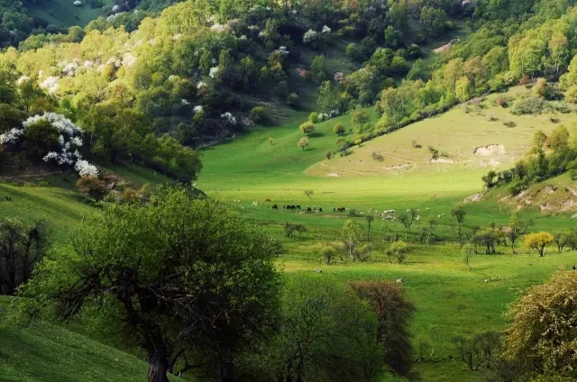 ����˹��ר����(�й�����)�ٷ���վ