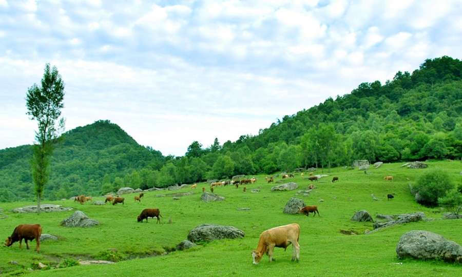 俄罗斯·专享会(中国集团)官方网站