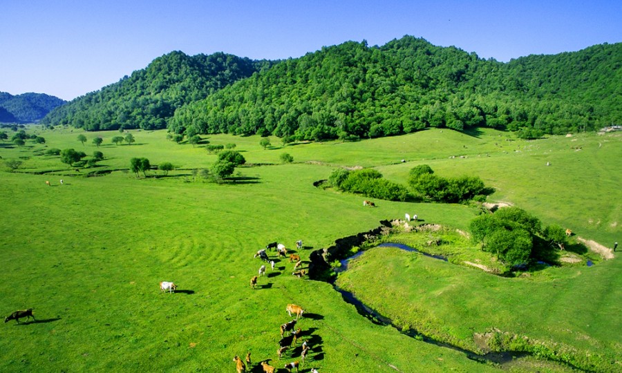 俄罗斯·专享会(中国集团)官方网站