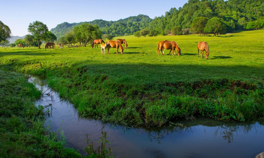俄罗斯·专享会(中国集团)官方网站