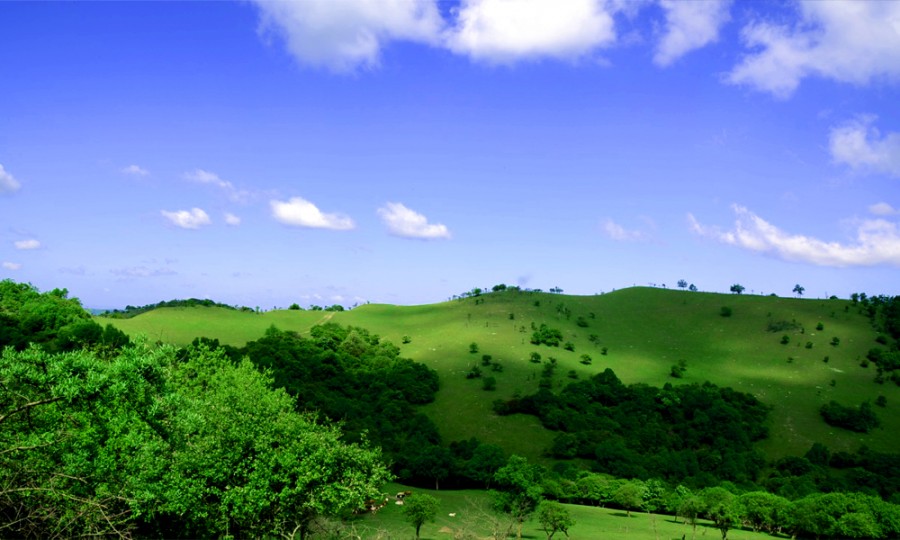 俄罗斯·专享会(中国集团)官方网站