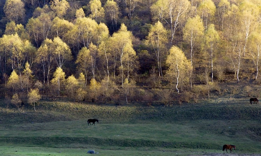 俄罗斯·专享会(中国集团)官方网站
