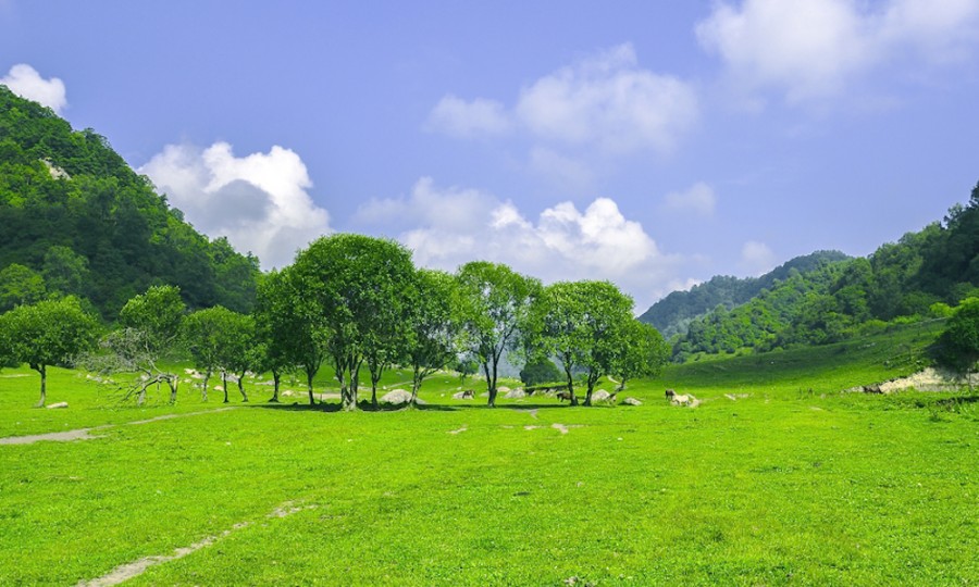 俄罗斯·专享会(中国集团)官方网站