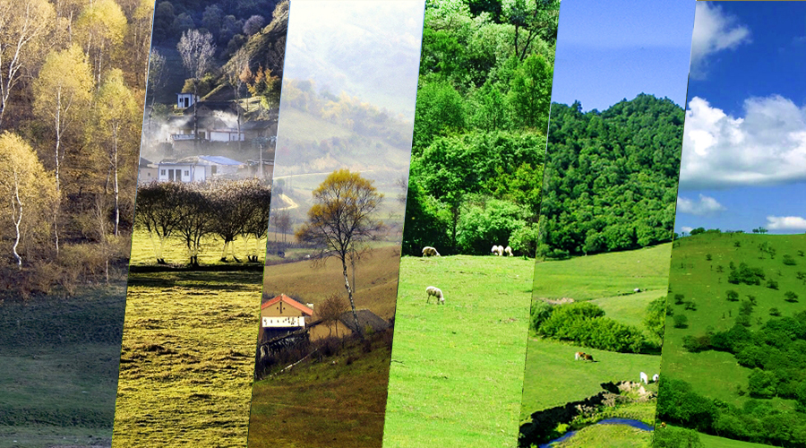 俄罗斯·专享会(中国集团)官方网站