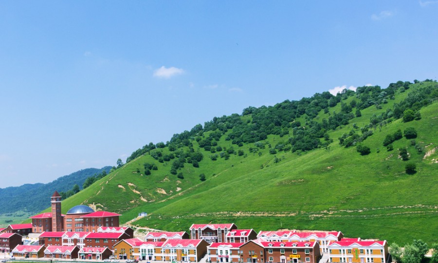 ����˹��ר����(�й�����)�ٷ���վ