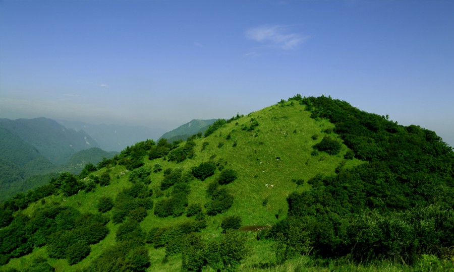 ����˹��ר����(�й�����)�ٷ���վ