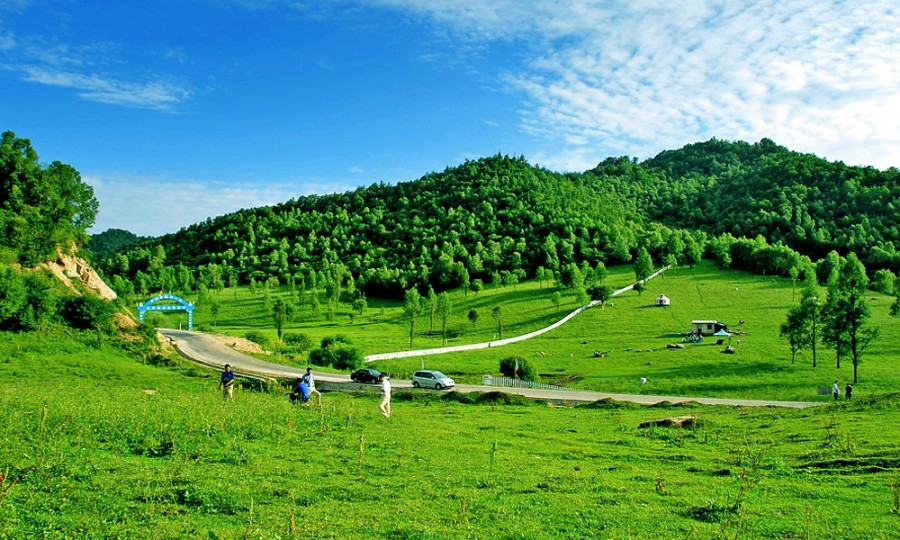 ����˹��ר����(�й�����)�ٷ���վ