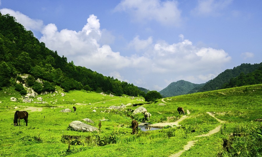 ����˹��ר����(�й�����)�ٷ���վ