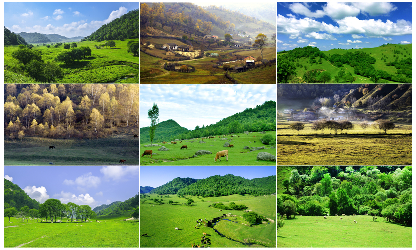 ����˹��ר����(�й�����)�ٷ���վ