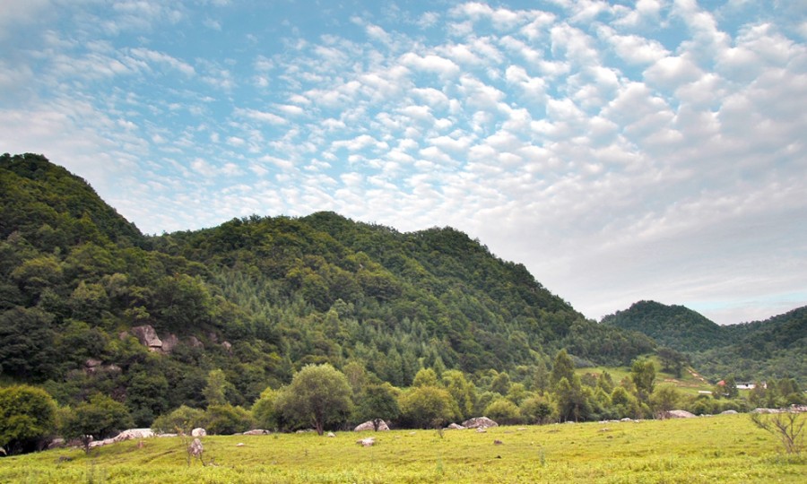 ����˹��ר����(�й�����)�ٷ���վ