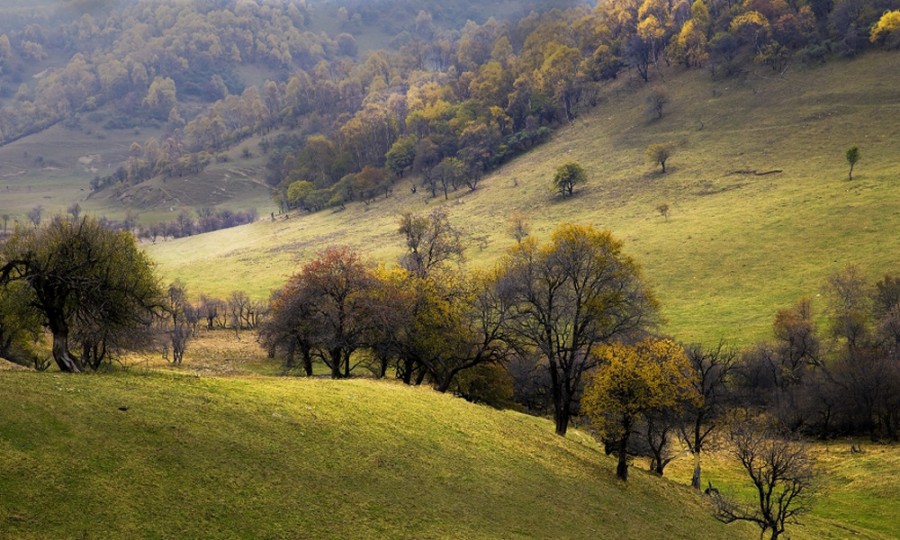 ����˹��ר����(�й�����)�ٷ���վ
