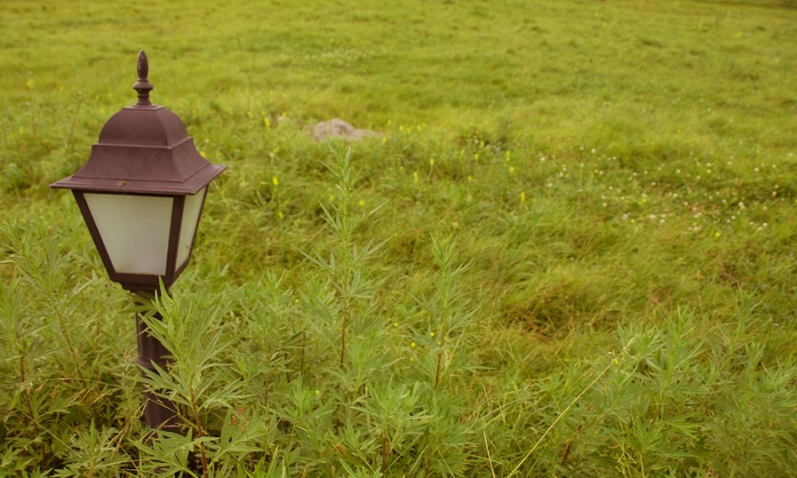 ����˹��ר����(�й�����)�ٷ���վ