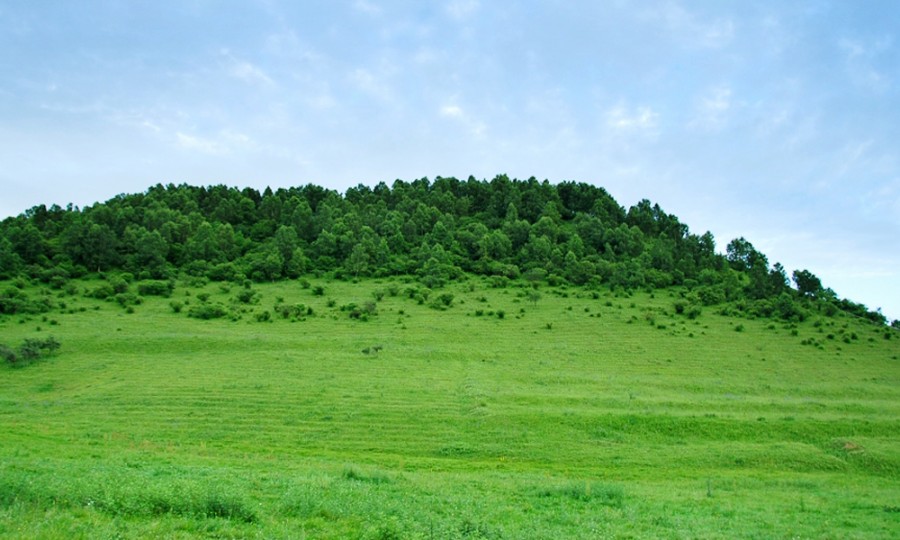 ����˹��ר����(�й�����)�ٷ���վ