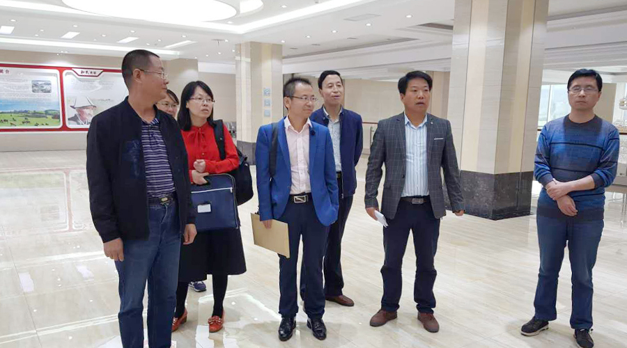 ����˹��ר����(�й�����)�ٷ���վ