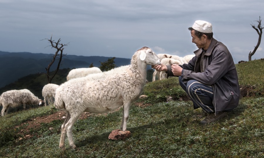 ����˹��ר����(�й�����)�ٷ���վ