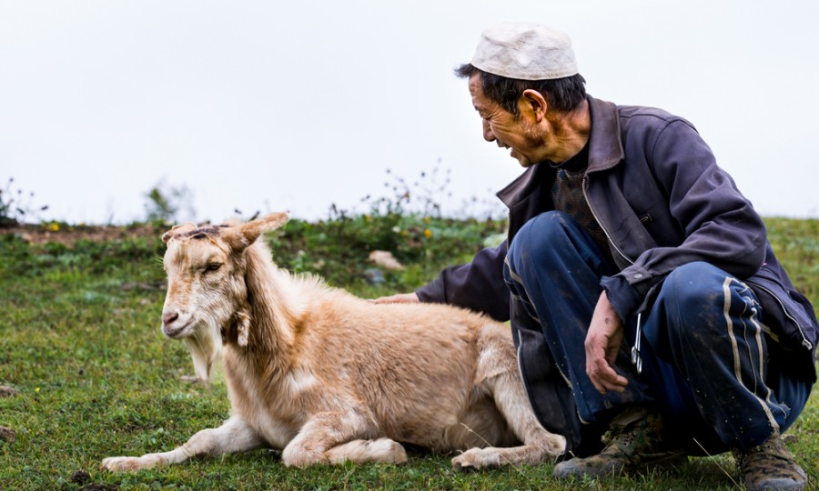 ����˹��ר����(�й�����)�ٷ���վ