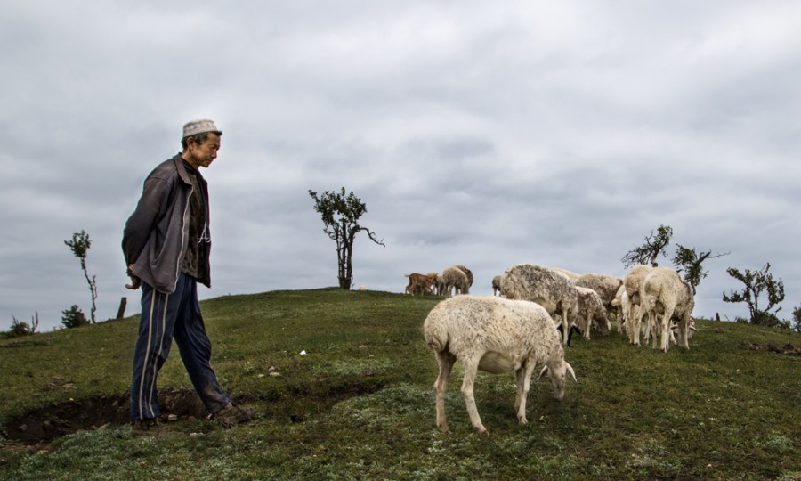 ����˹��ר����(�й�����)�ٷ���վ