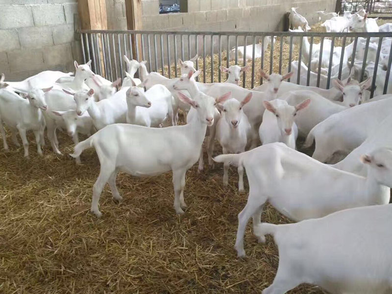 ����˹��ר����(�й�����)�ٷ���վ