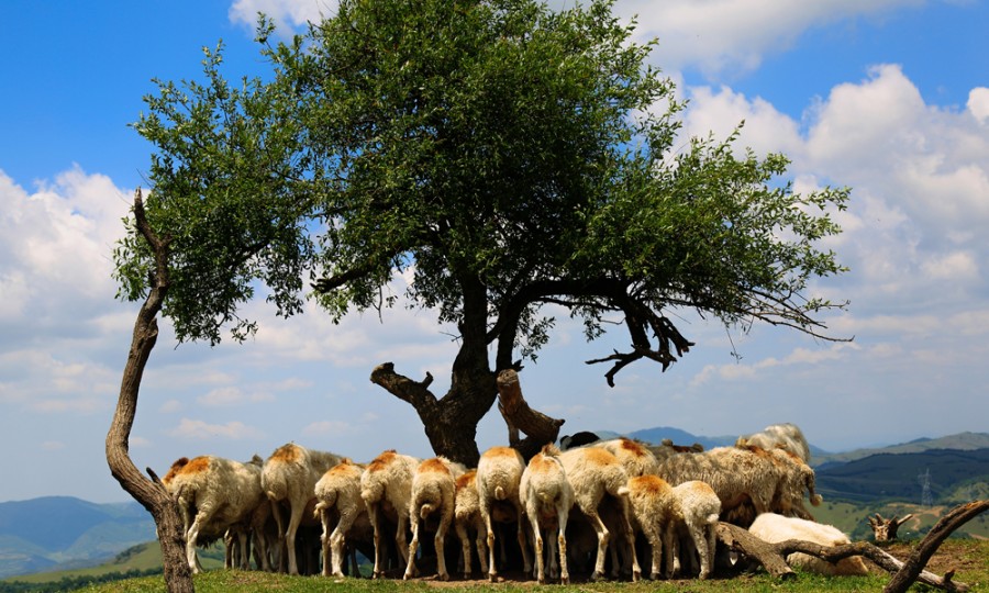 ����˹��ר����(�й�����)�ٷ���վ