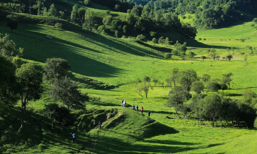 ����˹��ר����(�й�����)�ٷ���վ