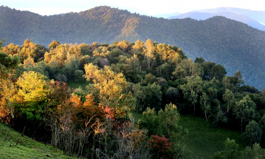 ����˹��ר����(�й�����)�ٷ���վ