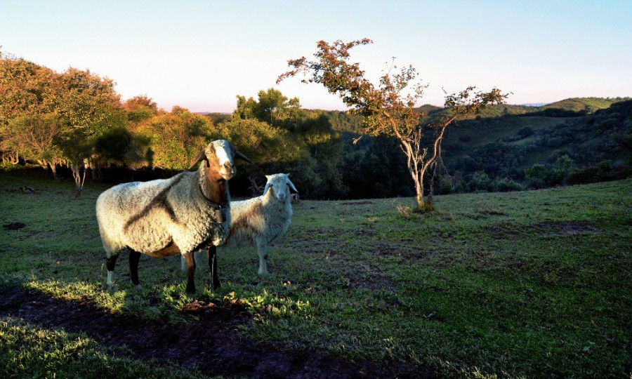 ����˹��ר����(�й�����)�ٷ���վ