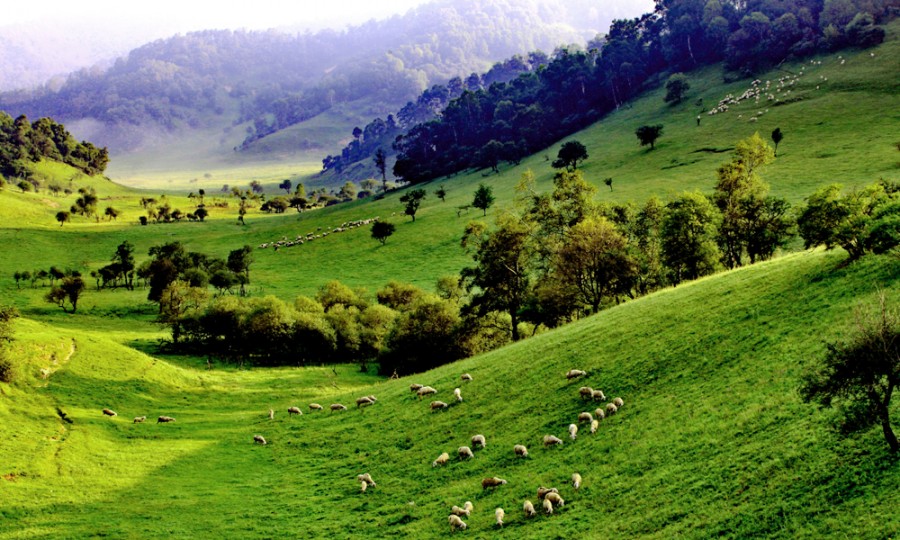 ����˹��ר����(�й�����)�ٷ���վ