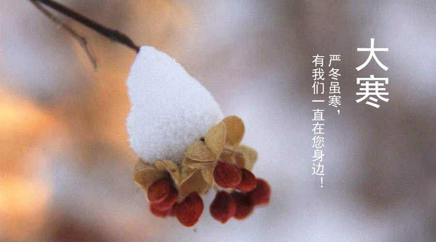 ����˹��ר����(�й�����)�ٷ���վ