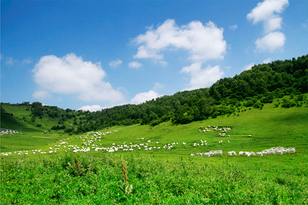 ����˹��ר����(�й�����)�ٷ���վ