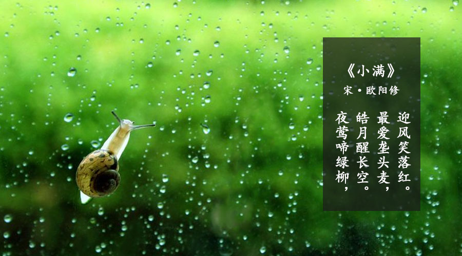 ����˹��ר����(�й�����)�ٷ���վ