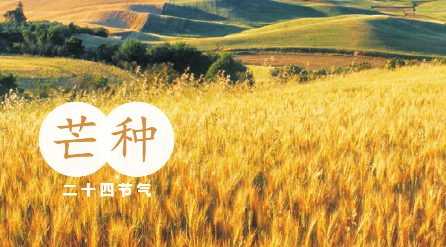 ����˹��ר����(�й�����)�ٷ���վ