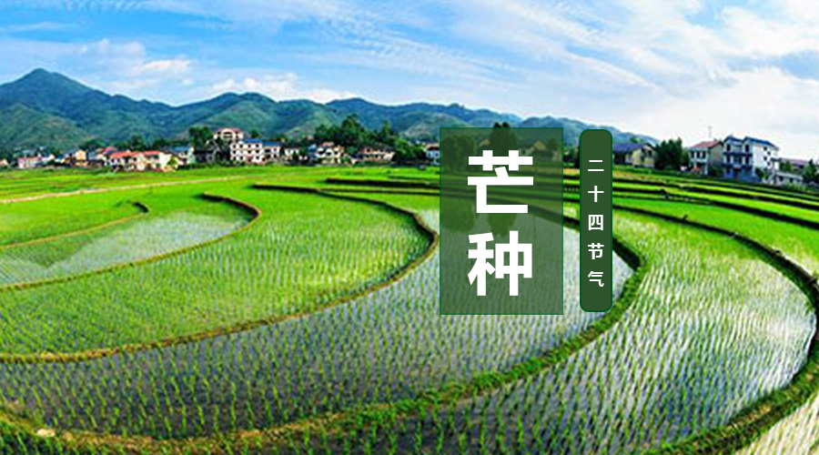 ����˹��ר����(�й�����)�ٷ���վ