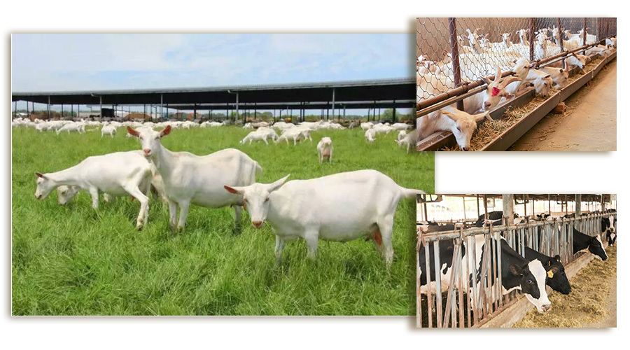 ����˹��ר����(�й�����)�ٷ���վ