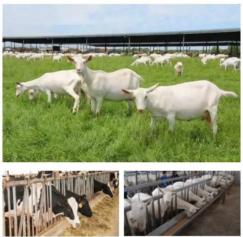 ����˹��ר����(�й�����)�ٷ���վ