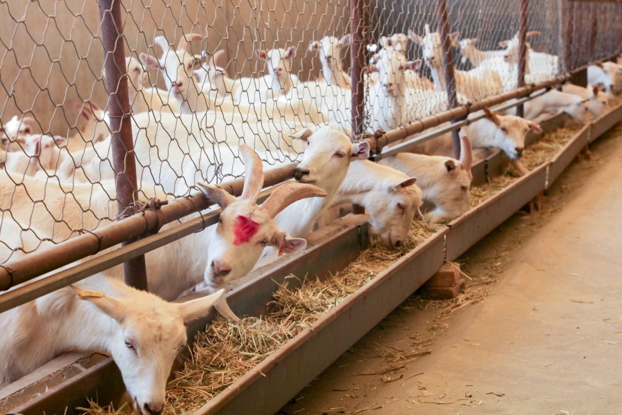 ����˹��ר����(�й�����)�ٷ���վ