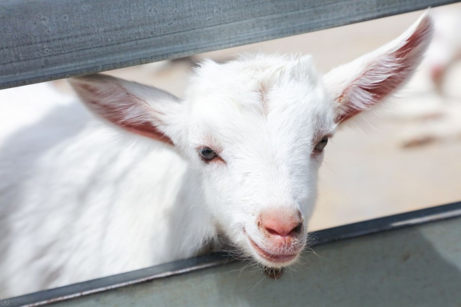 ����˹��ר����(�й�����)�ٷ���վ