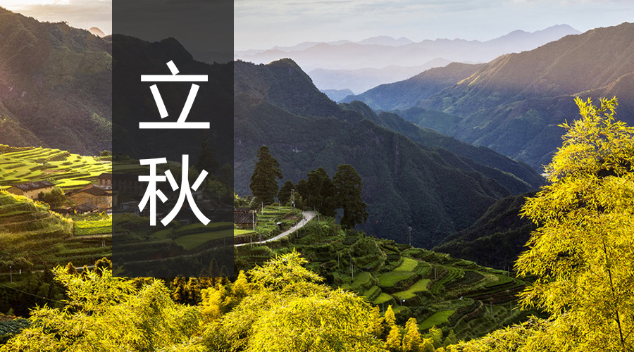 ����˹��ר����(�й�����)�ٷ���վ