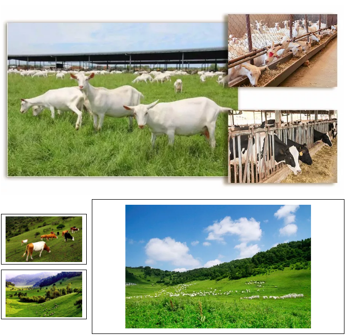 ����˹��ר����(�й�����)�ٷ���վ