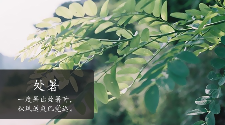 ����˹��ר����(�й�����)�ٷ���վ