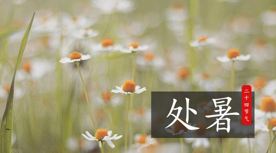 ����˹��ר����(�й�����)�ٷ���վ