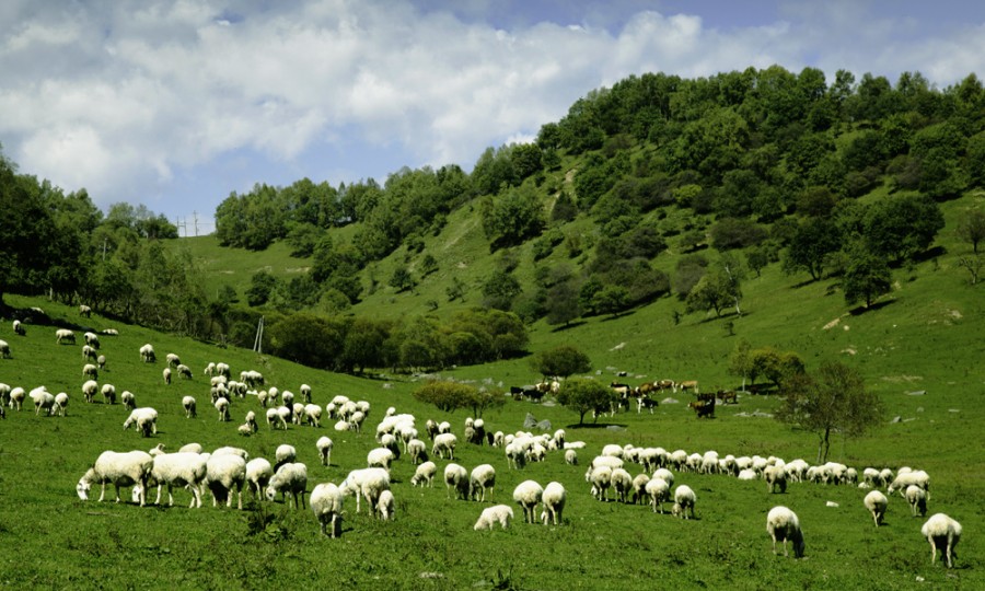 ����˹��ר����(�й�����)�ٷ���վ