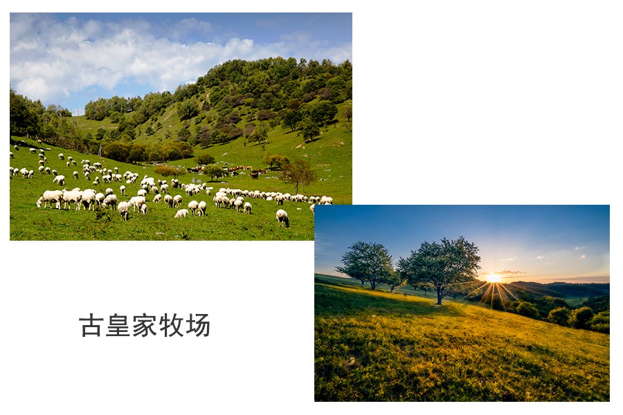 ����˹��ר����(�й�����)�ٷ���վ