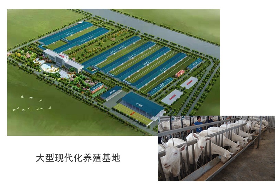 ����˹��ר����(�й�����)�ٷ���վ