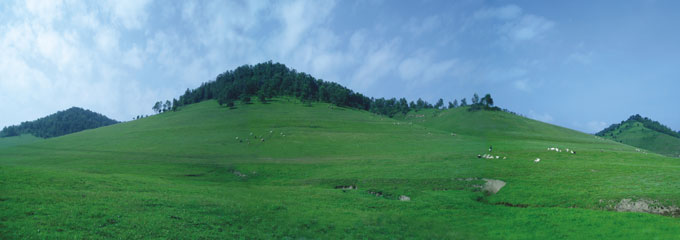 俄罗斯·专享会(中国集团)官方网站