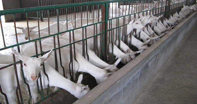 俄罗斯·专享会(中国集团)官方网站