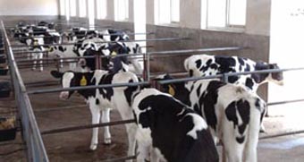 俄罗斯·专享会(中国集团)官方网站