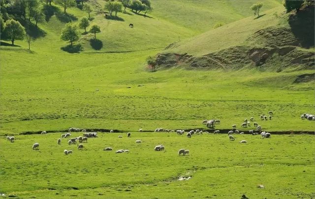 俄罗斯·专享会(中国集团)官方网站