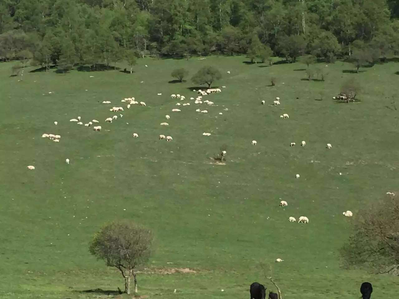 俄罗斯·专享会(中国集团)官方网站